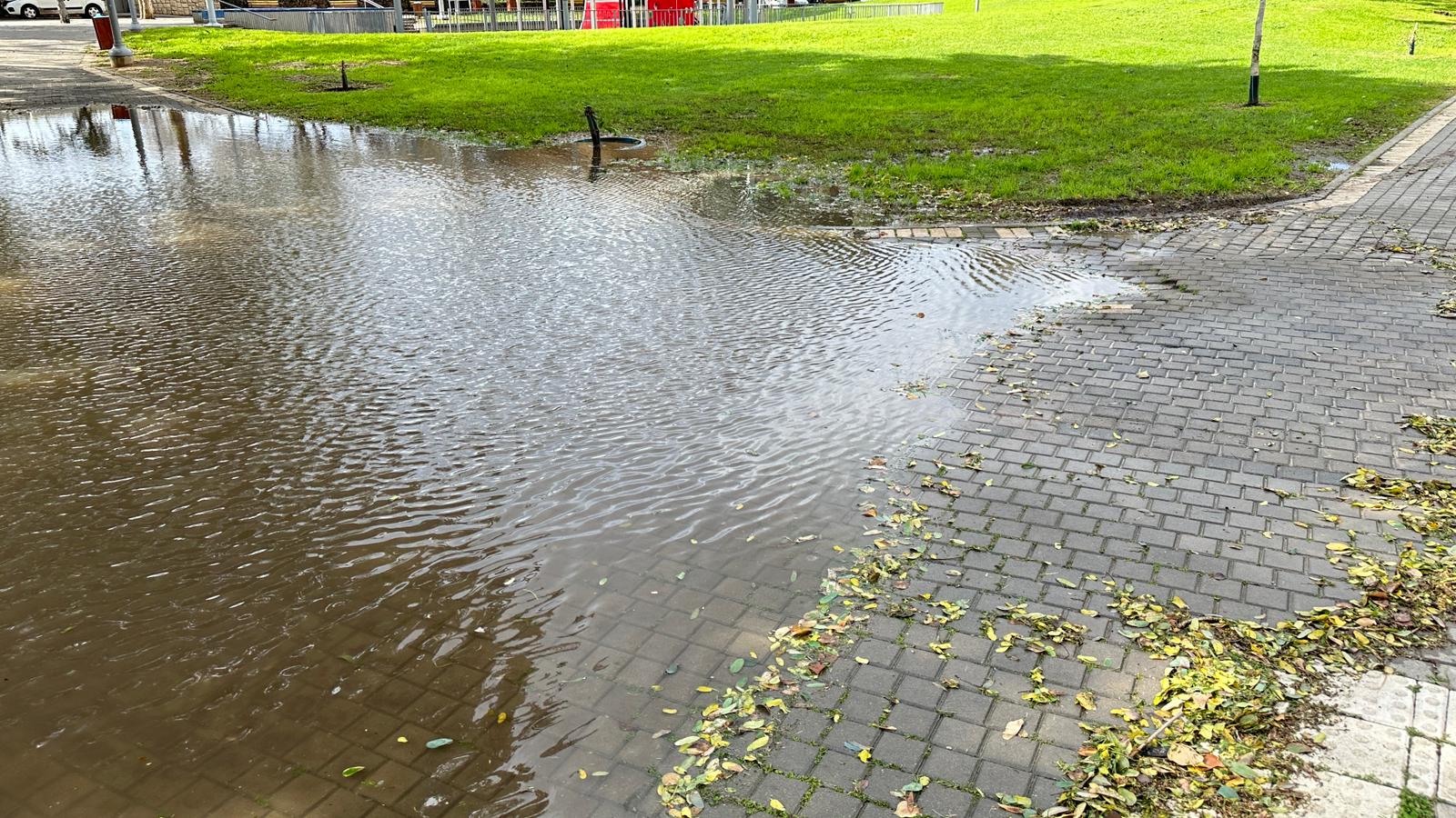 WhatsApp Image 2024-01-30 at 19.11.09.jpeg